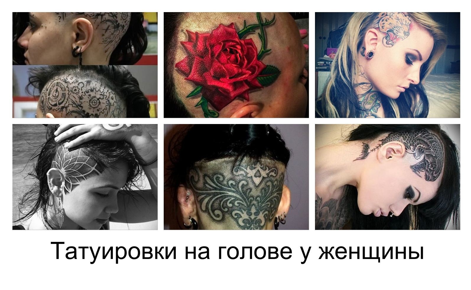 Тату у девушке на голове Тату у девушке на голове