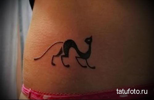 Тату черная кошка на животе Тату черная кошка на животе