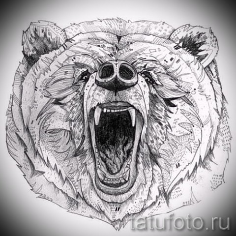 Эскиз морда медведя для тату Эскиз морда медведя для тату