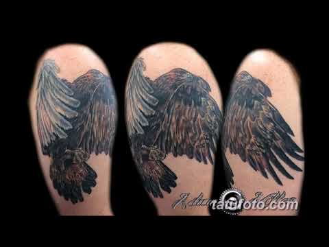 Значение тату беркут - примеры готовых рисунков татуировки на фото