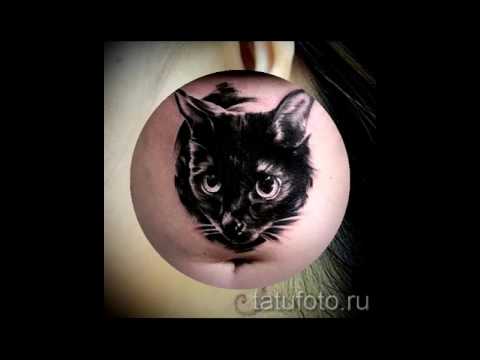 тату черная кошка примеры фото для статьи про значение татуировка черная кошка