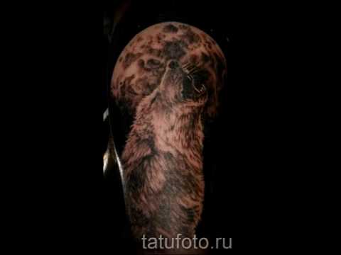 интересные примеры тату воющий волк на фото для статьи про значение воющего волка в татуировке