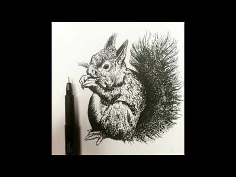 эскиз тату белка - информация и рисунки для тату