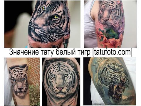 Значение тату белый тигр - факты и фото для сайта tatufoto.com