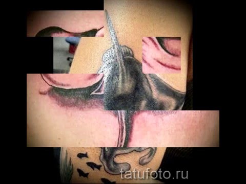 Значение тату скат примеры готовых татуировок на фото
