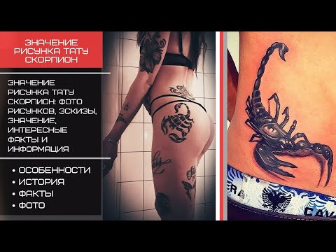 Значение рисунка тату Скорпион - смысл, история, фото, факты - tatufoto.com - 2021