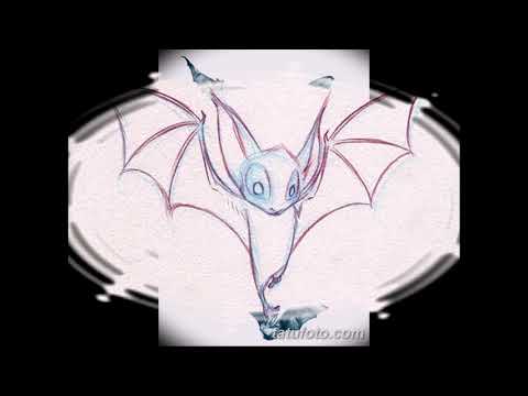 Эскизы тату летучая мышь - примеры рисунков для татуировки