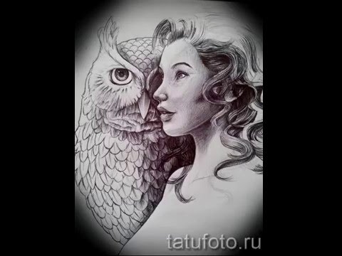 Лучшие эскизы тату сова в примерах