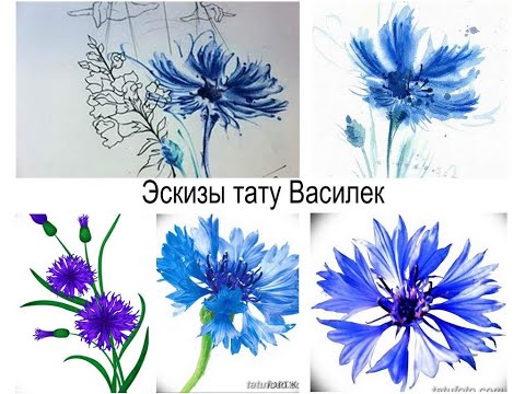 Эскизы тату Василек - фото примеры и факты для сайта tatufoto.com