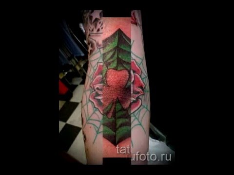 Значение тату паутина примеры фото с готовыми тату от 20122015