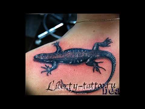 Фото тату саламандра - варианты рисунков готовых татуировок на фото