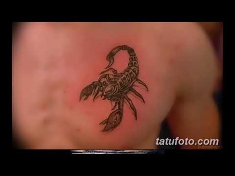 Значение татуировки скорпион - фото примеры готовых рисунков татуировки