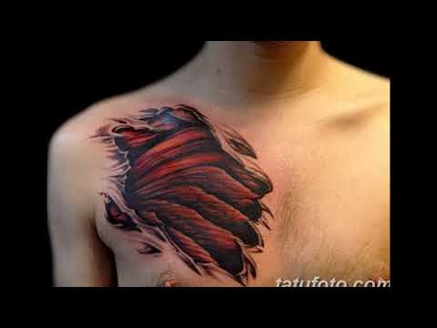 Значение тату когти - варианты готовых рисунков татуировки на фото