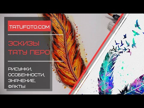 Эскизы тату перо - коллекция рисунков и информация про особенности - tatufoto.com