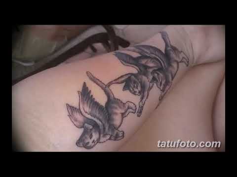 Значение тату кошка с крыльями - оригинальные готовы рисунки татуировки на фото