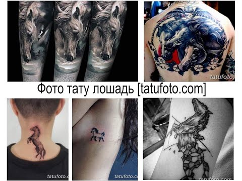 Фото тату лошадь - коллекция рисунков и информация для сайта tatufoto.com
