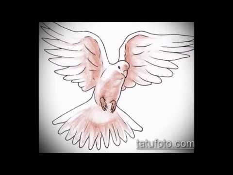 эскиз тату голубь - информация и рисунки для тату