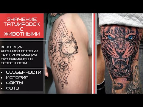 Значение татуировок с животными - факты и фото для сайта tatufoto.com