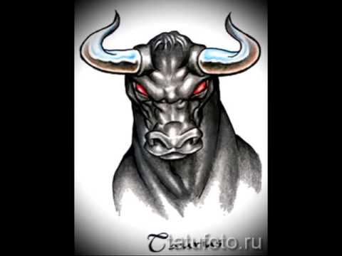 интересные варианты дл тату телец картинки на фидео