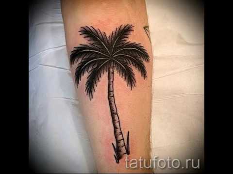 Интересные примеры тату пальма на фото для статьи про значение рисунка пальмы в татуировке