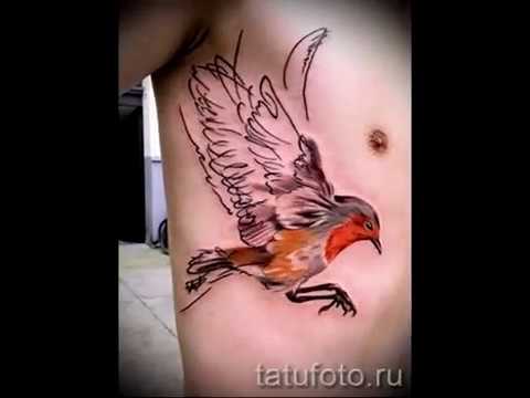 Оригинальная тату снегирь на фото для статьи про Значение тату снегирь