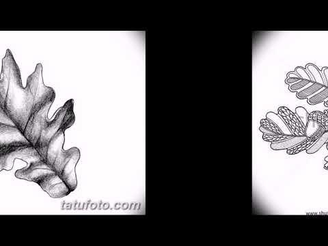 Эскизы тату дубовые листья - коллекция фото рисунков для татуировки