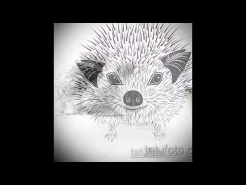 эскиз тату ежик - информация и рисунки для тату