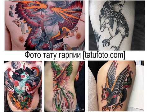 Фото тату гарпии - значение рисунка и фото примеры готовых тату для сайта tatufoto.com