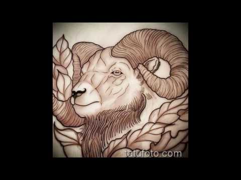 эскиз тату козел - информация и рисунки для тату