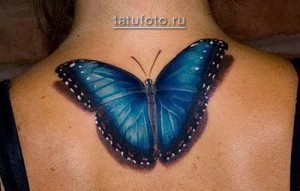 Фото татуировки на затылке, изображающей большую голубую бабочку с детализированными крыльями.