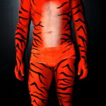 Рисунки окраски тигра на теле