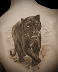 Значение татуировки пантера 1