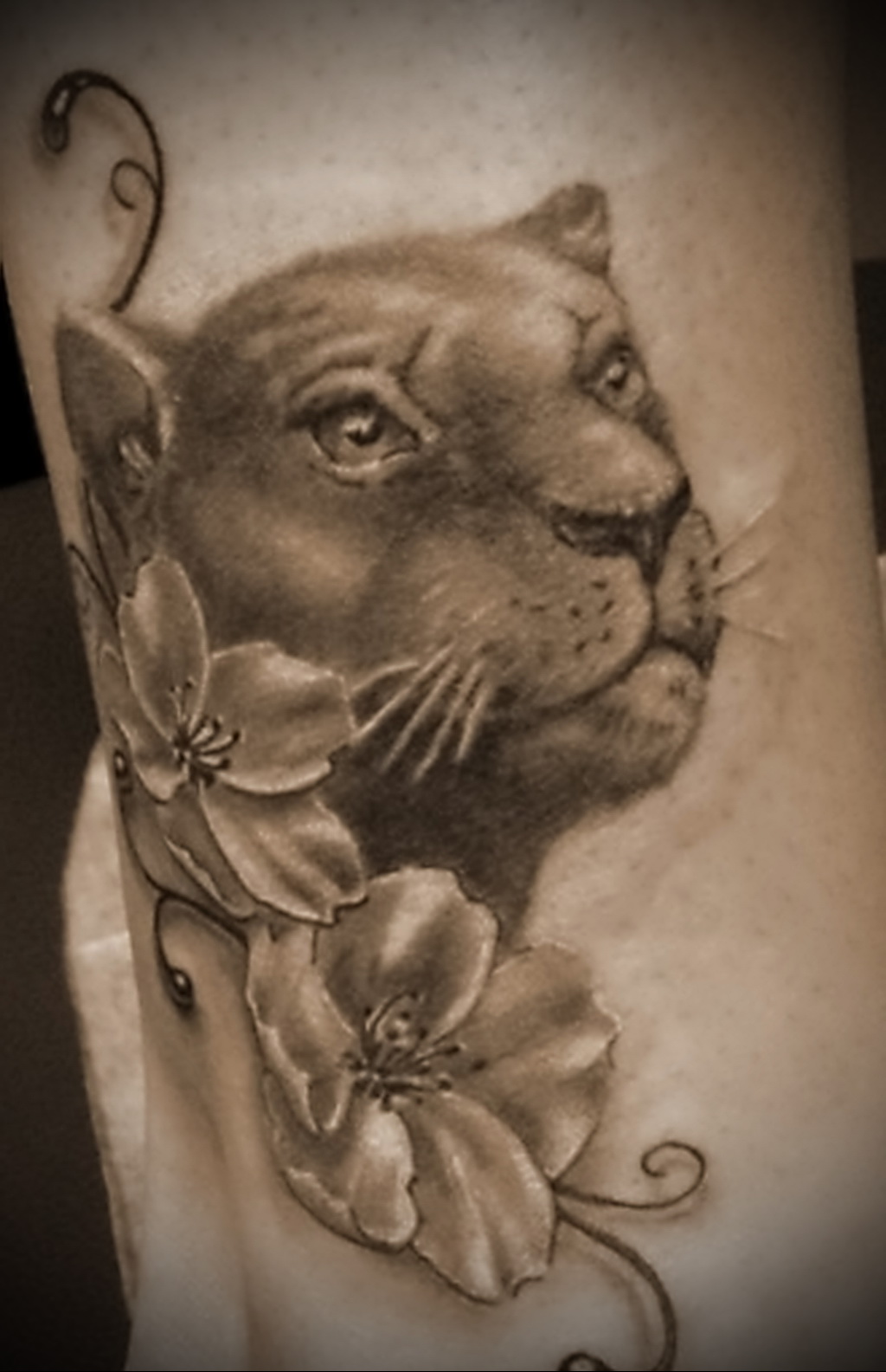 Значение татуировки пантера