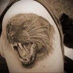 Значение татуировки пантера 6 - Татуировка оскал пантеры на левом плече мужчины
