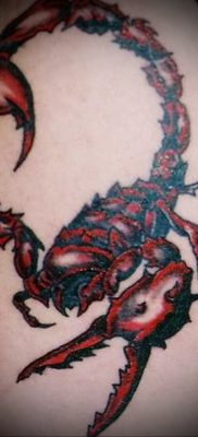 Значение татуировки скорпион 10