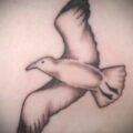Значение татуировки чайка 1