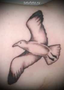 Значение татуировки чайка 1