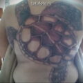 Большая черепаха в татуировке на всю спину