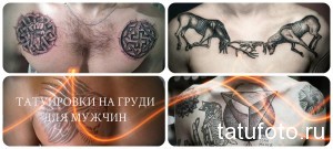 Фото тату на груди для мужчин: кельтские узоры, изображения волка и оленя, выполненные в черном цвете. Идеи для татуировок.