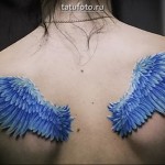 Тату голубые крылья с перьями на лопатках у девушки