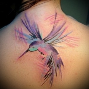 Татуировка колибри и её значение