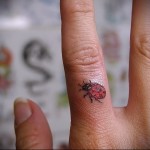 божья коровка цветная - татуировка на пальце женская (тату, tattoo)