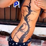 дерево без листьев и птичка - женская татуировка на боку