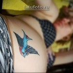 женская татуировка ласточка в стиле старой школы