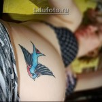 Фото тату ласточки на лопатке в стиле олд скул. Яркие цвета, детальная прорисовка, традиционный стиль татуировки.