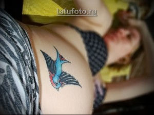 Фото тату ласточки на лопатке в стиле олд скул. Яркие цвета, детальная прорисовка, традиционный стиль татуировки.