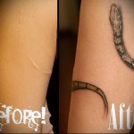 змея - женская татуировка на шраме - перекрытие - фото