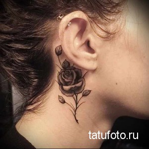 Фото тату черной розы на шее девушки, расположенной за ухом. Эскиз татуировки выполнен в реалистичном стиле с детальной проработкой лепестков и стебля.