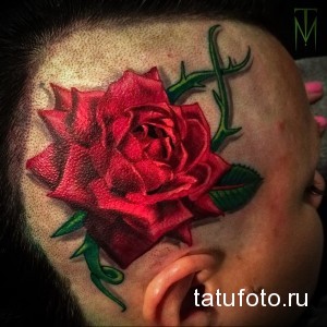 Фото реалистичной татуировки красной розы с зелеными листьями и стеблем, расположенной на виске.