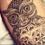 олд скул сова - рисунок готовой татуировки
